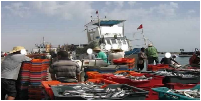 Le Festival de la Pêche, Tunisie.jpg1 - Voyage Tunisie